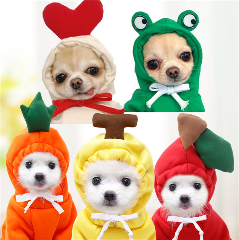 Winter Clothing Pictures - Cute Fruit Dog Clothes for Small