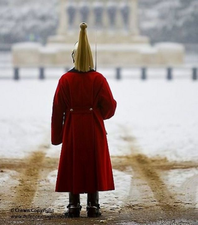 British War Horse Guard Jacket - مراجعة Jacket Winter Clothing وسعره