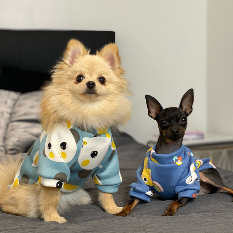 Xs Dog Clothes for Small Dogs  - مراجعة Winter Clothing For Boys وسعره