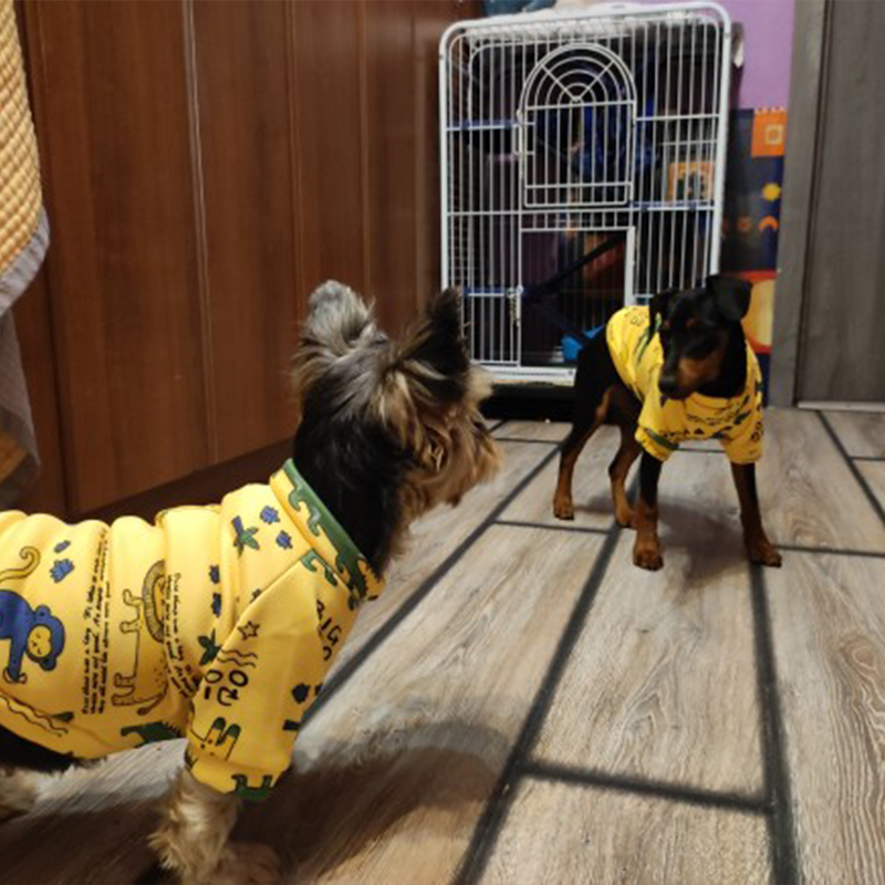 Xs Dog Clothes for Small Dogs  - مراجعة Winter Clothing For Boys وسعره