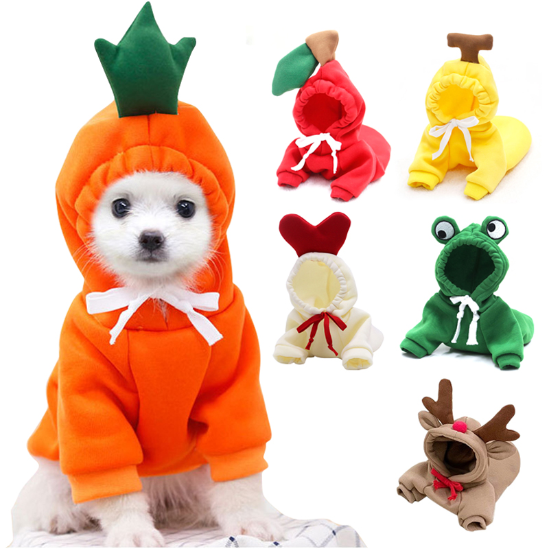 Cute Fruit Dog Clothes for Sma - مراجعة Winter Clothing Pictures وسعره