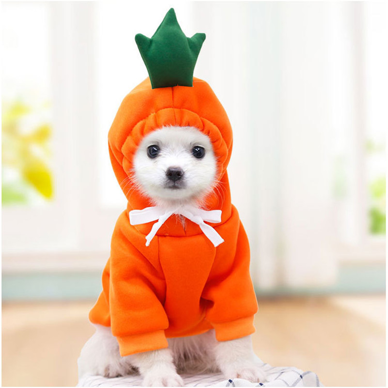 Cute Fruit Dog Clothes for Sma - مراجعة Winter Clothing Pictures وسعره