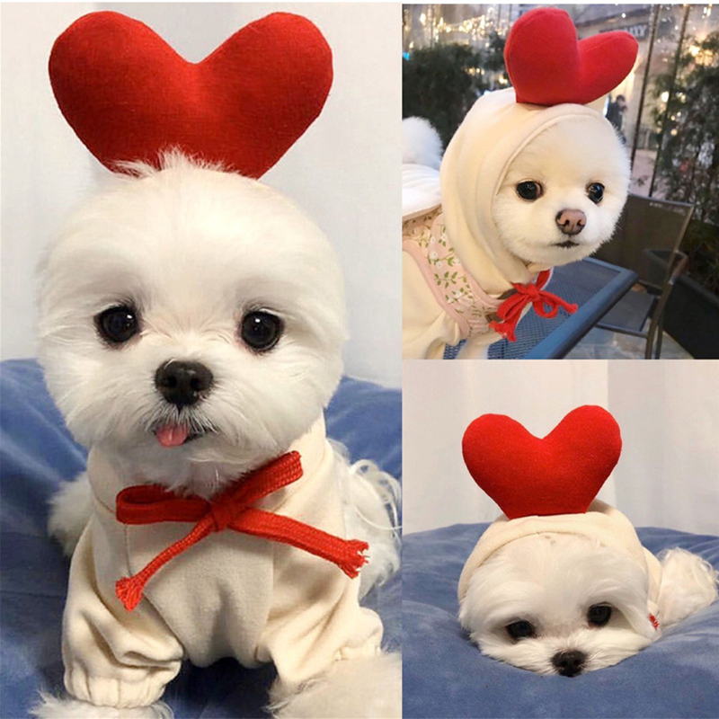 Cute Fruit Dog Clothes for Sma - مراجعة Winter Clothing Pictures وسعره