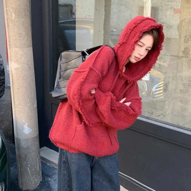 Autumn and Winter Thick Hoodie - مراجعة Winter Clothing Essential وسعره