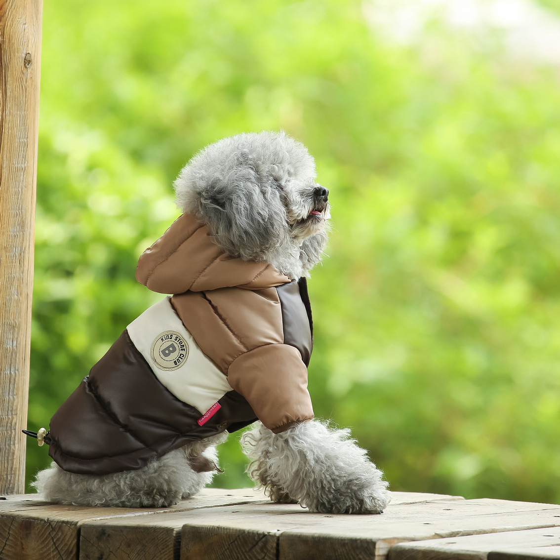 Pet Vest Pet Supplies Winter C - مراجعة Winter Clothing Options وسعره