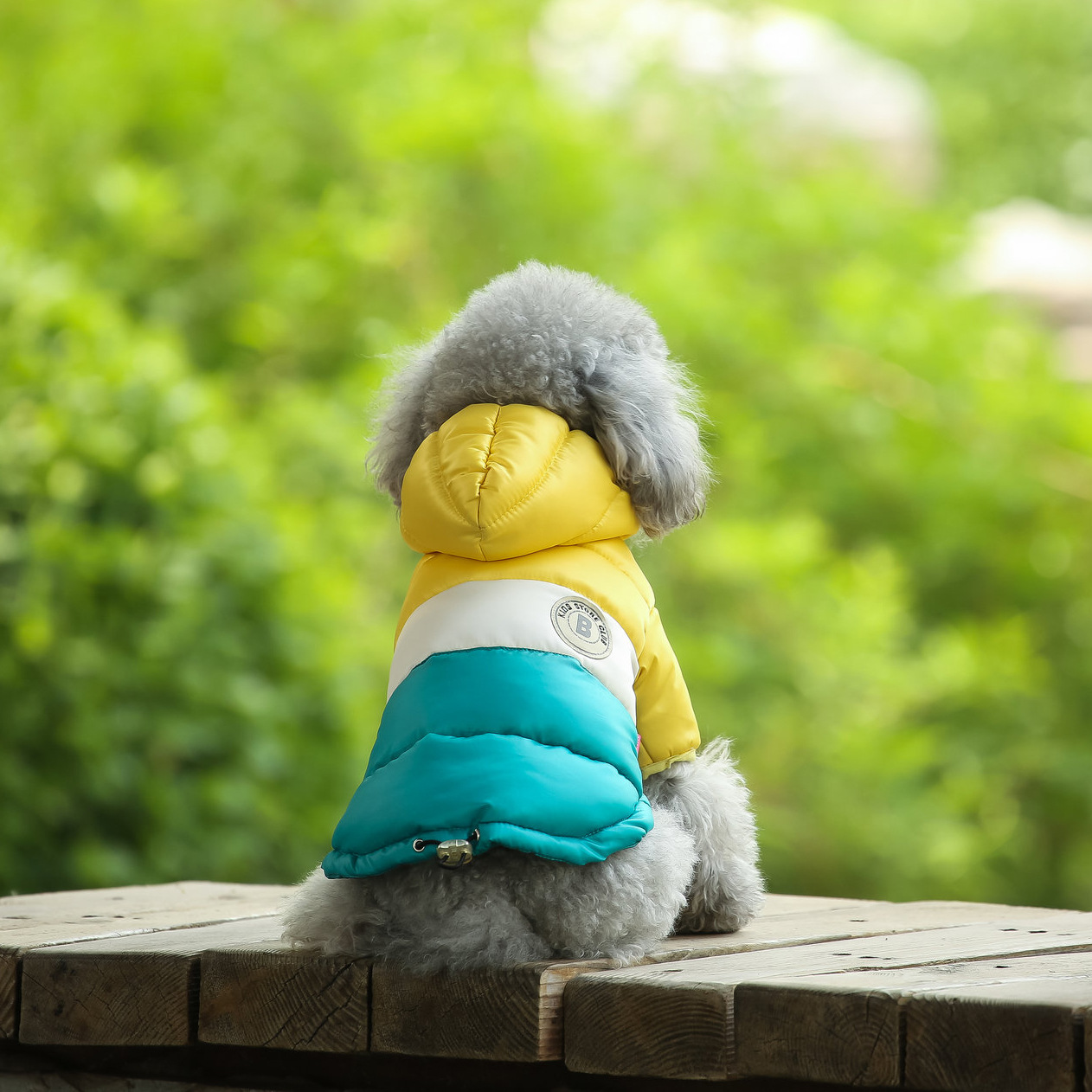 Pet Vest Pet Supplies Winter C - مراجعة Winter Clothing Options وسعره