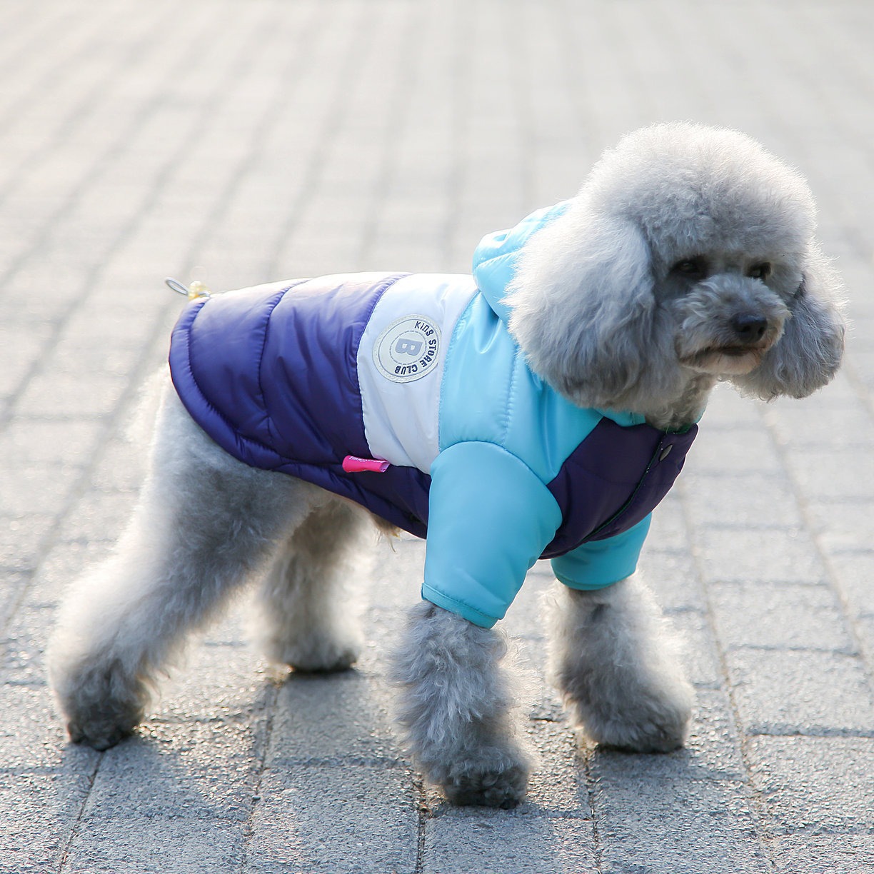 Pet Vest Pet Supplies Winter C - مراجعة Winter Clothing Options وسعره